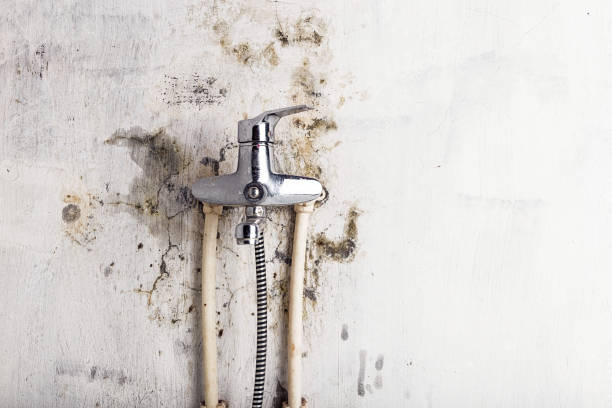 Russell, GA Mold Removal Pros