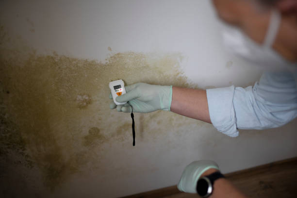 Best Mold Testing and Removal  in Russell, GA