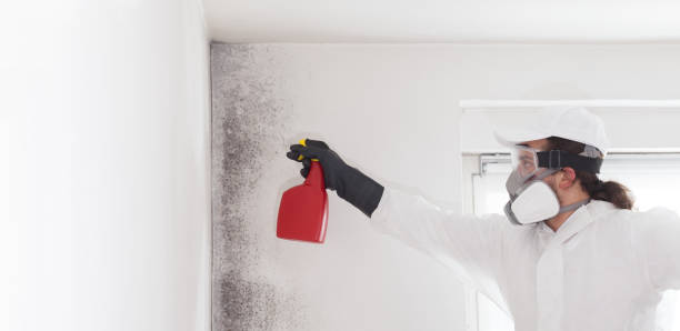 Best Emergency Mold Removal  in Russell, GA