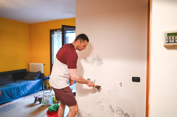 Best Attic Mold Removal  in Russell, GA